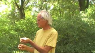 Wildkräuterwanderung mit Prof Dr Bernd Gerken [upl. by Eisiam]