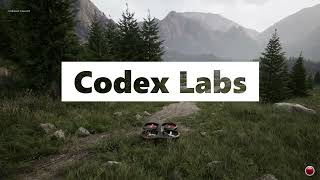 SWARM Simulation Platform  Codex Labs [upl. by Gemoets]