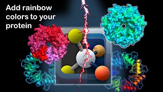 PyMOL How to add rainbow spectrum colors to protein using Pymol  PyMOL tutorial  Pymol studio [upl. by Aranat556]