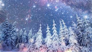 Peaceful Instrumental Christmas Music Relaxing Christmas music quotSnowy Winter Pinesquot By Tim Janis [upl. by Aamsa]