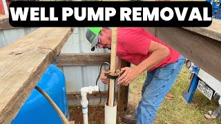 Pulling A Deep Well Pump  Easy Removal With PVC Down Pipe rpssolarpumps submersiblewaterpump [upl. by Anivel508]