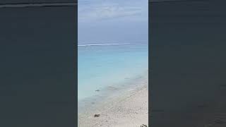 Maldives see natural views [upl. by Zelle]