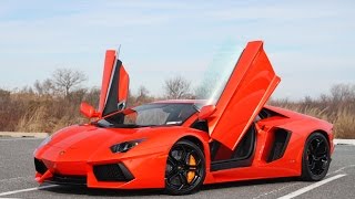 Forza Horizon 2  Part 25  Lamborghini Aventador Lets Play  Walkthrough  Gameplay [upl. by Gabbert]