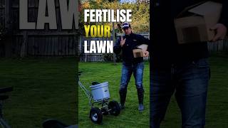 When is the best time to use fertiliser for the best lawncare results shorts [upl. by Assilana]