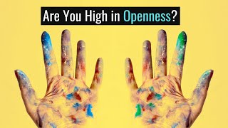 4 Signs You are High in Openness [upl. by Ecirted907]