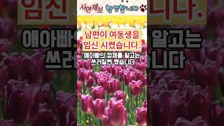 결혼 2년만에 여동생을 임신시킨 남편 [upl. by Krause]