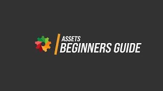 Assets Beginners Guide [upl. by Sudderth418]