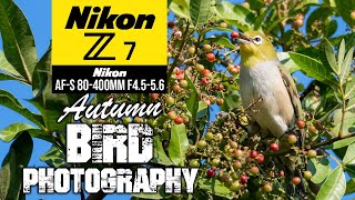 Autumn Bird Photography Using The Nikon Z7  AFS 80400mm  FTZII [upl. by Iveel]