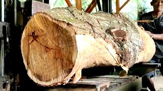 Sawing to transform bad Acacia logs into beautiful material [upl. by Carilla93]