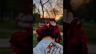 Poetry🥀 love musicgenre youtubeshorts unfrezzmyaccount poetry shorts [upl. by Karita]