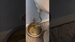 Replacing A Severely Corroded Toilet Shutoff Valve plumbing shorts [upl. by Yntirb]