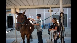 The Shea Center Rider Story Colt [upl. by Aiblis]