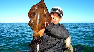 Squid LOVE This Jig  GEOGRAPHE BAY BUSSELTON [upl. by Esertak]