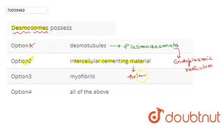 Desmosomes possess [upl. by Ise]