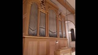 Felix Mendelssohn Bartholdy Präludium hMoll op 35 Nr 3  Christoph Preiß Orgel [upl. by Nawd498]