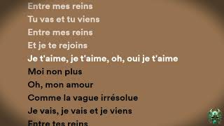 Serge Gainsbourg feat Jane Birkin  Je taimeMoi non plus Lyrics [upl. by Hurwitz]