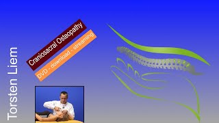 Craniosacral osteopathy english version clearly demonstrated [upl. by Frey252]