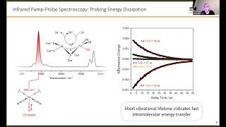 Hydrogenase Lectures 2022 Episode 7 Part 1 Marius Horch [upl. by Reinhard]