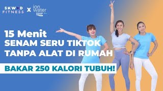 SENAM TIKTOK SERU BAKAR 250 KALORI  OLAHRAGA PEMULA [upl. by Chae]