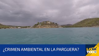 INVESTIGAMOS PORQUÉ SE APAGA EL BRILLO DE LA BAHÍA BIOLUMINISCENTE EN LAJAS [upl. by Hayarahs]