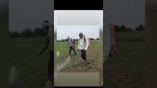 Herbicide spraying Host farmer field [upl. by Aihsoek]