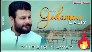 A Gul Laliy  A Gul Laliy Akhri Had Dy  Tapaezy Geelaman Laliy Zubair Nawaz new song 2024 [upl. by Dagny]