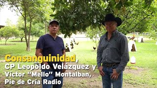 Consanguinidad CP Leopoldo Velázquez y Víctor quotMelloquot Montalban Pie de Cría Radio [upl. by Landes]