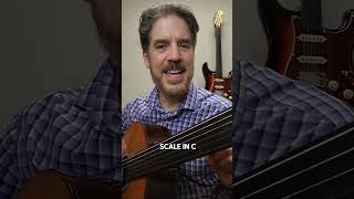 The majestic Lydian Dominant scale on fretless guitar [upl. by Olag]