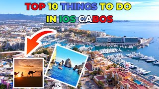 Cabo San Lucas Top 10 Best Tours You Cant Miss [upl. by Nortad]