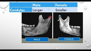 A Comparative Study of Male and Female Mandibles [upl. by Linell152]