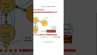 Aggregation and Adhesion by Dr Pawan nagar [upl. by Keeler6]