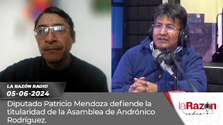 Diputado Patricio Mendoza defiende la titularidad de la Asamblea de Andrónico Rodríguez [upl. by Ahsinod]