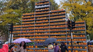 Keene New Hampshire Pumpkin Festival 2023 Walkthrough [upl. by Aninad]