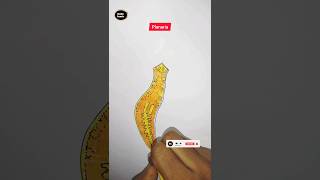 planaria diagram easy shorts viral drawing diagram science ytshorts planaria artdailylearn [upl. by Filia]