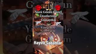 Günaydın Mesajları💕Hayırlı Sabahlar💕Sesli Videolar 4k💕WhatsApp Durumgünaydın4k yt ytviral dua [upl. by Croom623]