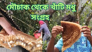 আমরা যেভাবে মৌচাক কাটলাম মৌমাছি জমানো মধু অনেক সাধ। Krishi Bangla 24 [upl. by Nilak]