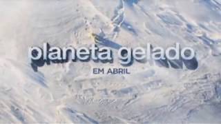 Planeta Gelado conheça a vida polar na nova série do Discovery Channel [upl. by Durarte]