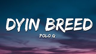 Polo G  Dyin Breed Lyrics [upl. by Burnsed]