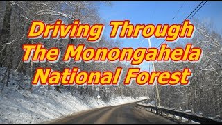 Driving through The Monongahela National Forest [upl. by Brogle]