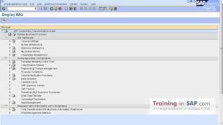 SAP Training  How the SAP Netweaver SPRO and SE93 look likeavi [upl. by Oeak]