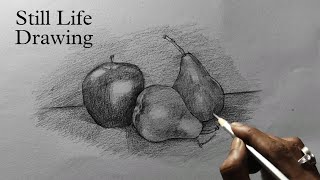 StillLife Drawing With Pencil  Drawing  How To Draw Fruits [upl. by Ahsile]