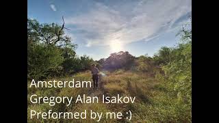 Amsterdam  Gregory Alan Isakov Cover [upl. by Atniuqal894]