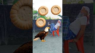 Rounding coconut biscuits to Ostrich Crow Duck amp Eagle  Birds names magic video [upl. by Nylcsoj346]