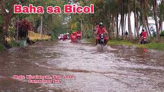 Baha sa Bicol dahil sa Bagyong Pepito Brgy Kinalansan San Jose Cam Sur Update sa Brgy Sabang [upl. by Spike]