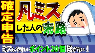 【確定申告のまとめ】確定申告で凡ミスした人の末路2023｡ミスしやすいポイント20個【個人事業主･会社員･副業･年金発生主義･現金主義とは消費税込経理扶養･配偶者控除支払調書振替納税敗訴】 [upl. by Perrie]