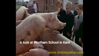 A look back at Wrotham School in 1963 [upl. by Tnilk]