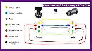 Comment Brancher Une Prise De Remorque Voiture 7 Broches I Schéma Electrique [upl. by Feinleib255]