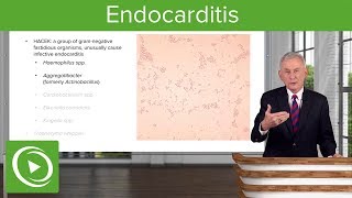 Endocarditis Definition Pathology Classification amp Diagnosis – Infectious Diseases  Lecturio [upl. by Cheffetz]