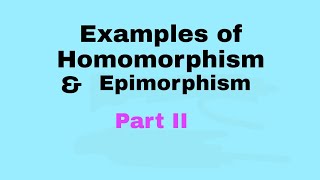 Examples on epimorphism in group theory [upl. by Ainex]