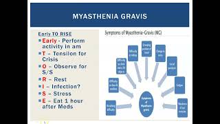 Myasthenia Gravis [upl. by Alimak]